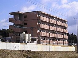 ユーミー渡邉 205