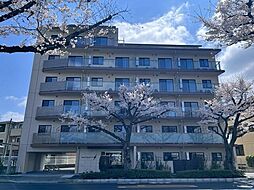 エストゥルース府中