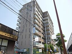 コプリーキタハナダ
