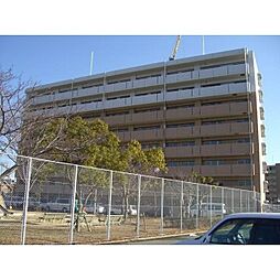 Ｍｉｄ　Ｇａｒｄｅｎ　三島 405