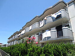 サンシャイン和白II 305