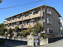 ツリーベルズ 302