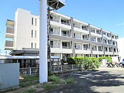 アネーロ・ネオ 101