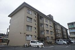照栄ハイツ 305