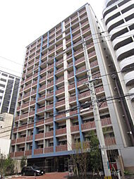 サヴォイテンジンスクワイヤー 601