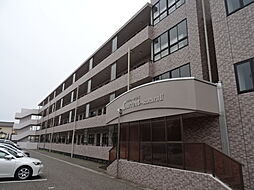 カレントさくらＩＩ 301