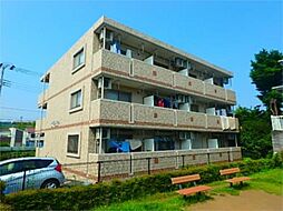 ルーナペルラ 303