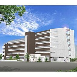 Ｙｓ ｃｏｕｒｔ三保