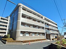 ルピナス5 20