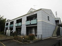 クリザンテム 102