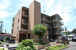 パートナーリリー 102