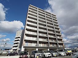 ショウジュン原田 803