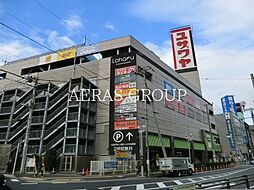 Ｗｅ Ｔｓｕｄａｎｕｍａ