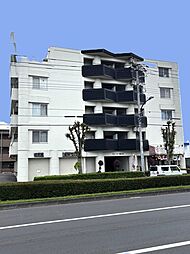 ビューラー堀之内 203