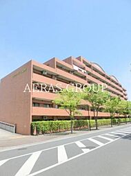 クリサンテーム妙典