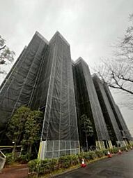 新松戸サンライトパストラル弐番館Ｄ棟