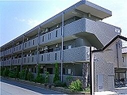 フルーエントＩＩＩ 203