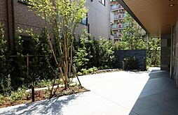 フレンシア菊川