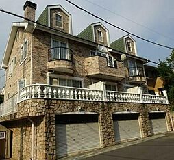 シャイリービーナス