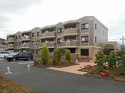 パイン・ヒルズ参番館 204