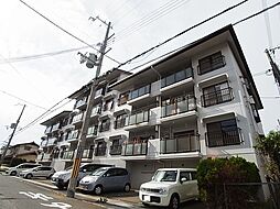 ハピネス