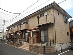 LIGHT HILLS IV 101