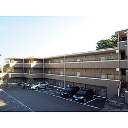 エルムノースヒル 211