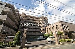 ステラコート