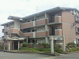 エトワール柏原 203