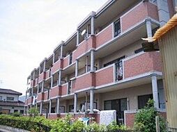 モルティ三田村 302