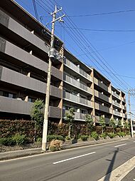 甲子園三番町ハイツ 516