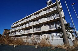 エレガンス小町 401