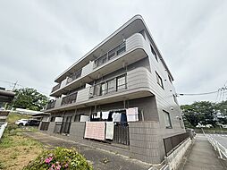 ビューバレー 101
