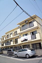 アルモカーサ新金岡