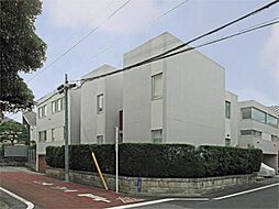 Ｃｏｒｔｉｌｅ