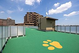 Ｗｅａｖｅ Ｂａｓｅ Ｈｅｉｗａｄａｉ 平和台