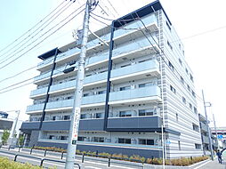 ホーリーホック