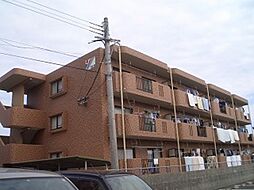 サンコート大島Ｂ棟 302