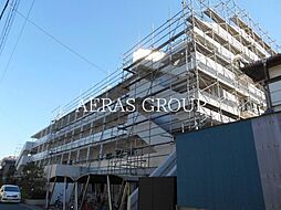 エバーグリーン