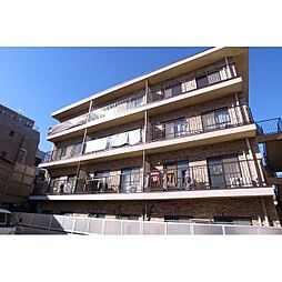 セシーズ・イシイ13 203