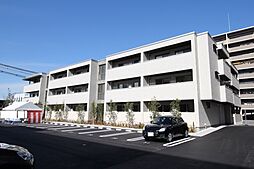 ベレオラカシータ 101