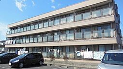 サニーガーデン