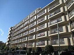 豊栄アンバサダー調布