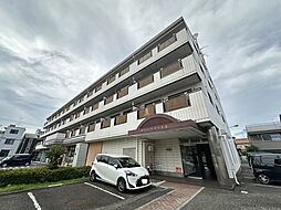 サニーフラットK 203