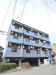 ライトシュテルン 301