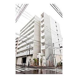 ＰＯＲＴＯ　ＰＡＲＴＩＲＥ　ＹＯＫＯＨＡＭＡ 504