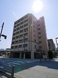 ＣＡＳＳＩＯＰＥＩＡ　ＨＡＫＯＺＡＫＩ 303