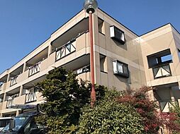 サザンフィールド 301