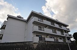 コーポウイング 305