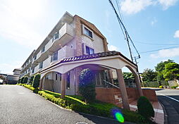 ピアホープ 0104